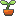 plant_bud.gif